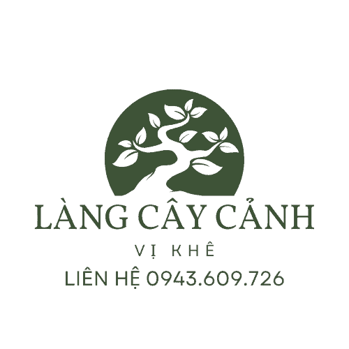 làng cây cảnh 4 removebg preview