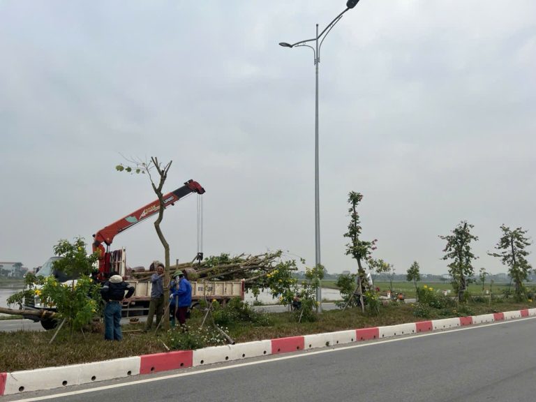 z7707666789316 31a163239c0840a355e60f532f843d5f