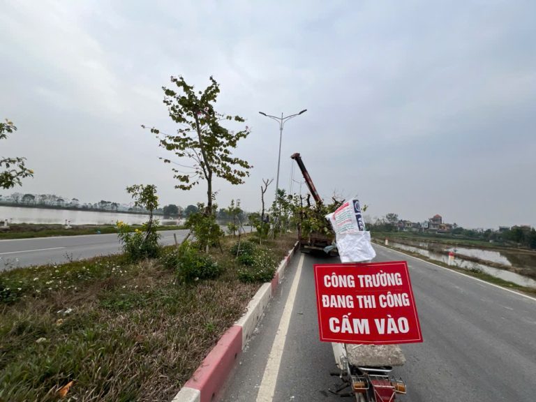 z7707666791813 f755a3cbf6d9f20d14a5838a23181b12