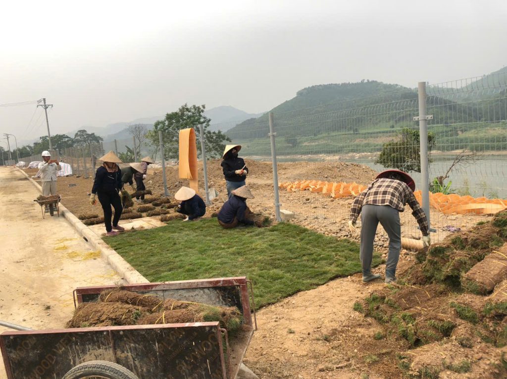 Đội ngũ thi công trải cỏ nhung Nhật đúng kỹ thuật giúp cỏ phát triển xanh tốt và bền đẹp.